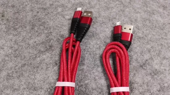 Cavo dati intrecciato all'ingrosso della fabbrica Cavo di ricarica USB di tipo C. Prodotti di vendita caldi USB